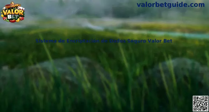 Sistema de Encriptación de Dados Seguro Valor Bet