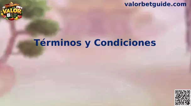 Términos y Condiciones Valor Bet México
